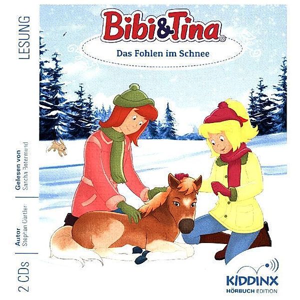 Bibi & Tina - Das Fohlen im Schnee,2 Audio-CDs, Bibi & Tina