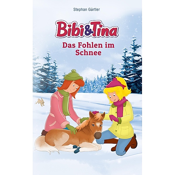 Bibi & Tina - Das Fohlen im Schnee / Bibi & Tina Bd.9, Stephan Gürtler