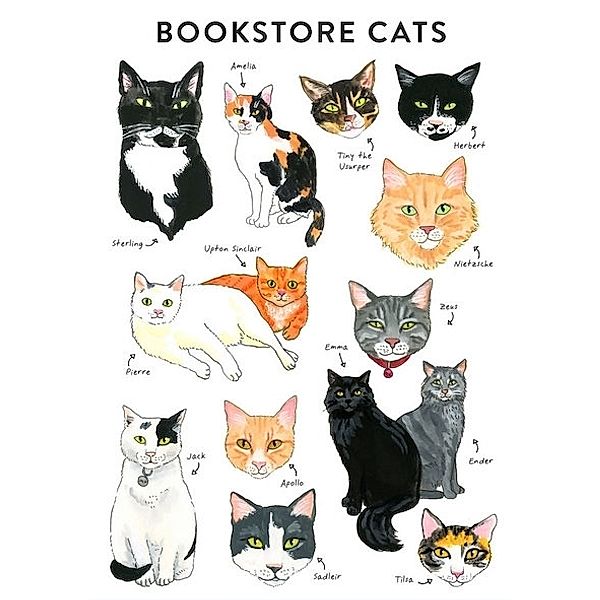 Bibliophile / Bibliophile Flexi Journal: Bookstore Cats