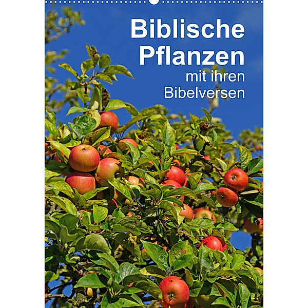 Biblische Pflanzen mit ihren Bibelversen (Wandkalender 2023 DIN A2 hoch), Hans-Georg Vorndran