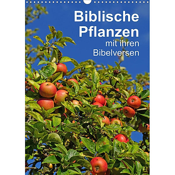 Biblische Pflanzen mit ihren Bibelversen (Wandkalender 2023 DIN A3 hoch), Hans-Georg Vorndran