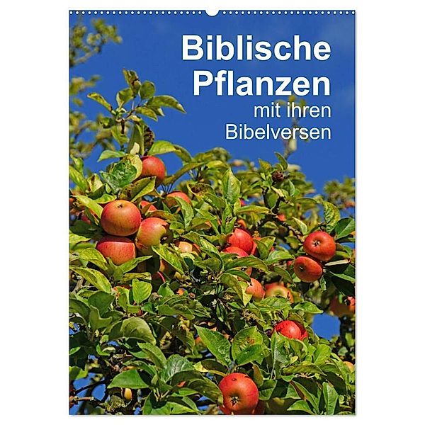 Biblische Pflanzen mit ihren Bibelversen (Wandkalender 2024 DIN A2 hoch), CALVENDO Monatskalender, Hans-Georg Vorndran