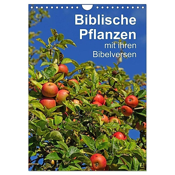 Biblische Pflanzen mit ihren Bibelversen (Wandkalender 2024 DIN A4 hoch), CALVENDO Monatskalender, Hans-Georg Vorndran