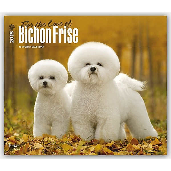 Bichon Frise - For the Love of 2015