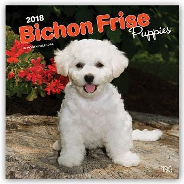 Bichon Frisé Puppies 2018, BrownTrout Publisher