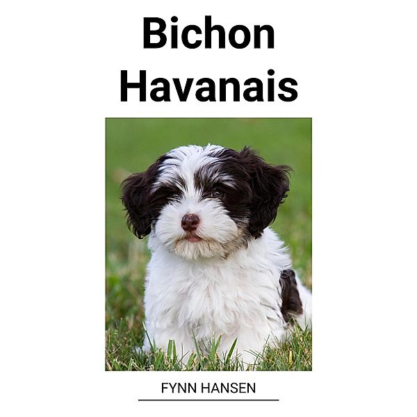 Bichon Havanais, Fynn Hansen