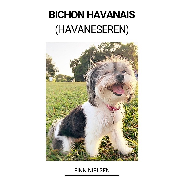 Bichon Havanais (Havaneseren), Finn Nielsen