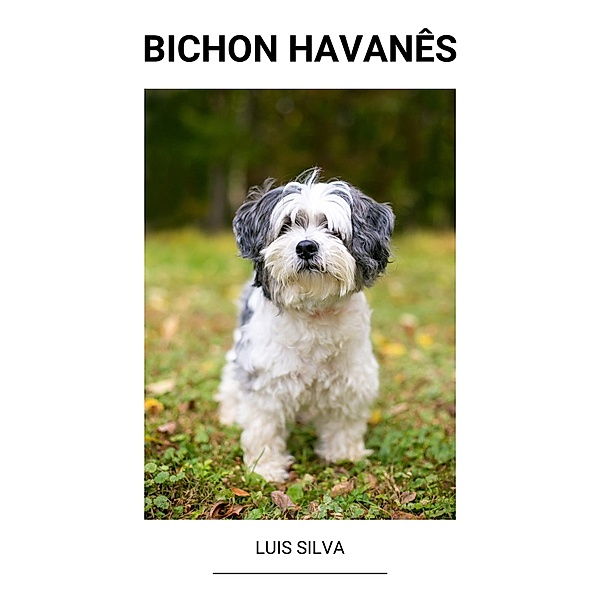Bichon Havanês, Luis Silva