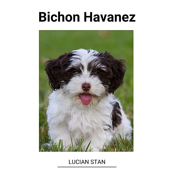 Bichon Havanez, Lucian Stan