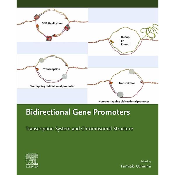 Bidirectional Gene Promoters, Fumiaki Uchiumi