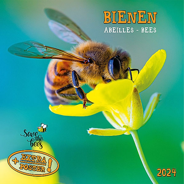 Bienen 2024