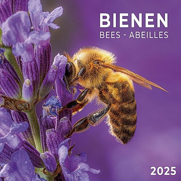 Bienen 2025