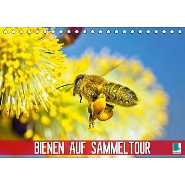 Bienen auf Sammeltour (Tischkalender 2021 DIN A5 quer)