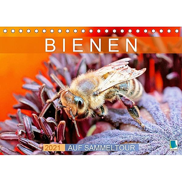 Bienen auf Sammeltour (Tischkalender 2021 DIN A5 quer), Calvendo