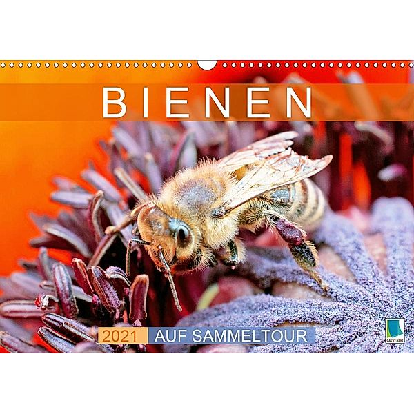 Bienen auf Sammeltour (Wandkalender 2021 DIN A3 quer), Calvendo