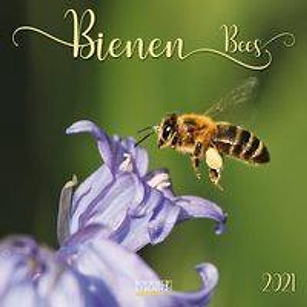 Bienen / Bees 2021