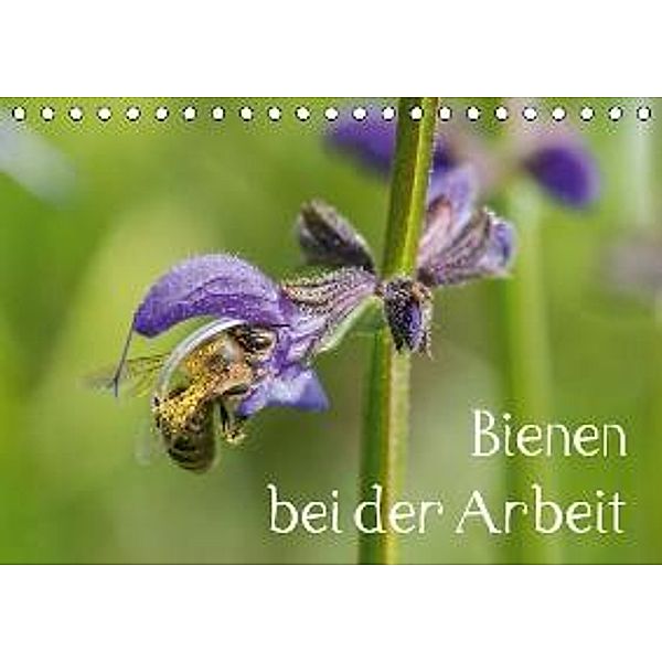 Bienen bei der Arbeit (Tischkalender 2016 DIN A5 quer), Zlatko Kropf