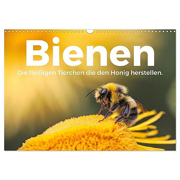 Bienen - Die fleißigen Tierchen die den Honig herstellen. (Wandkalender 2024 DIN A3 quer), CALVENDO Monatskalender, M. Scott