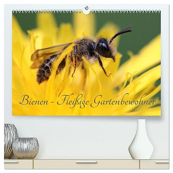 Bienen - Fleissige Gartenbewohner (hochwertiger Premium Wandkalender 2024 DIN A2 quer), Kunstdruck in Hochglanz, Silvia Hahnefeld