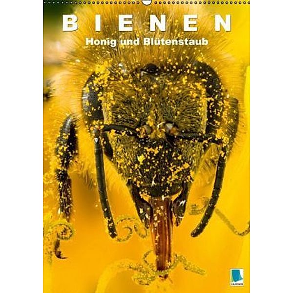 Bienen: Honig und Blütenstaub (Wandkalender 2015 DIN A2 hoch), Calvendo