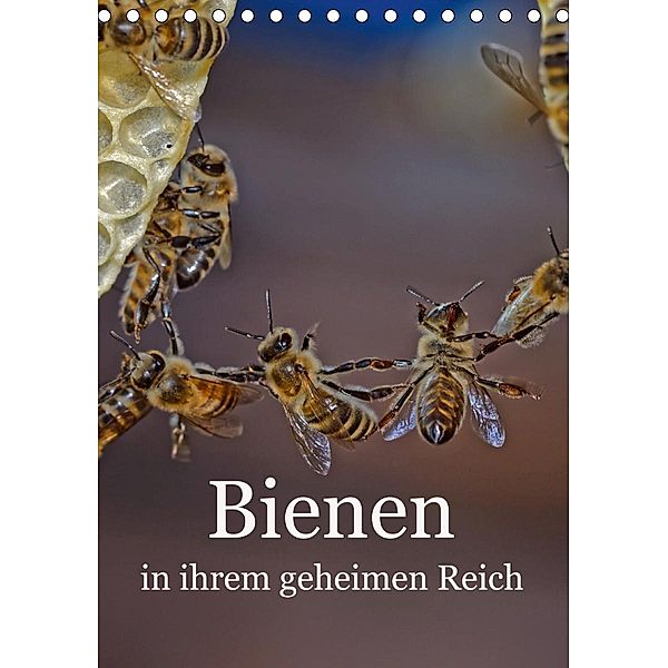 Bienen in ihrem geheimen Reich (Tischkalender 2020 DIN A5 hoch), Mark Bangert