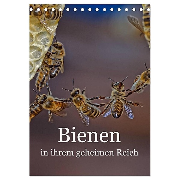 Bienen in ihrem geheimen Reich (Tischkalender 2024 DIN A5 hoch), CALVENDO Monatskalender, Mark Bangert