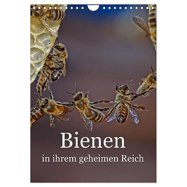 Bienen in ihrem geheimen Reich (Wandkalender 2024 DIN A4 hoch), CALVENDO Monatskalender, Mark Bangert