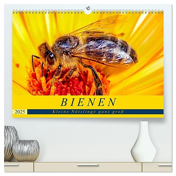 BIENEN - Kleine Nützlinge ganz gross (hochwertiger Premium Wandkalender 2025 DIN A2 quer), Kunstdruck in Hochglanz, Calvendo, Andrea Dreegmeyer
