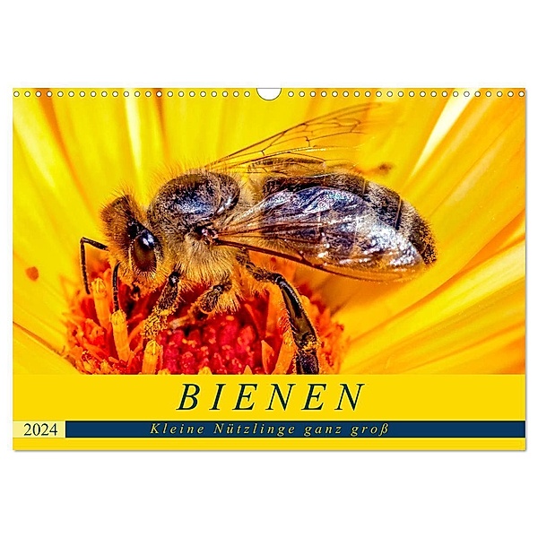 BIENEN - Kleine Nützlinge ganz gross (Wandkalender 2024 DIN A3 quer), CALVENDO Monatskalender, Andrea Dreegmeyer