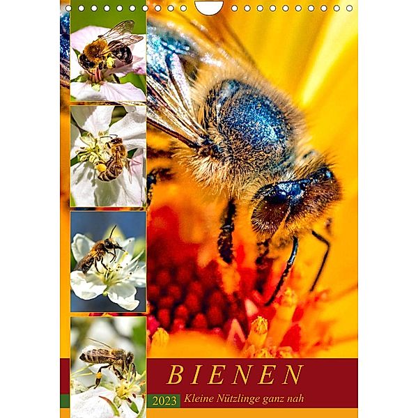 BIENEN - Kleine Nützlinge ganz nah (Wandkalender 2023 DIN A4 hoch), Andrea Dreegmeyer