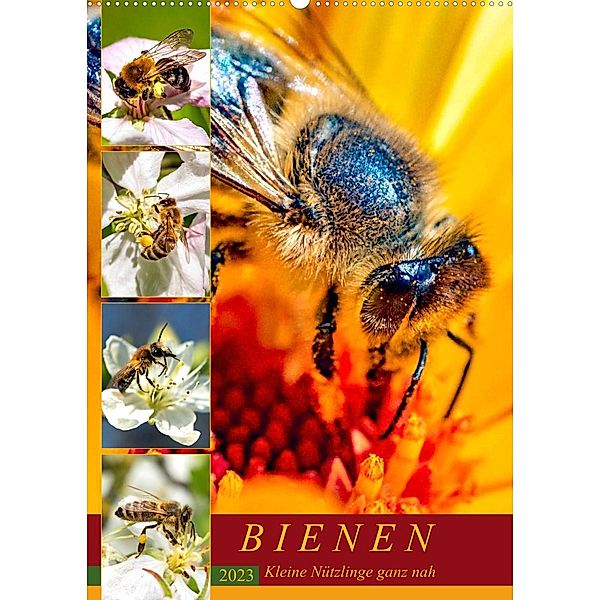 BIENEN - Kleine Nützlinge ganz nah (Wandkalender 2023 DIN A2 hoch), Andrea Dreegmeyer