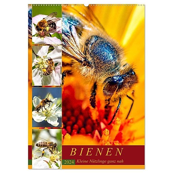 BIENEN - Kleine Nützlinge ganz nah (Wandkalender 2024 DIN A2 hoch), CALVENDO Monatskalender, Andrea Dreegmeyer