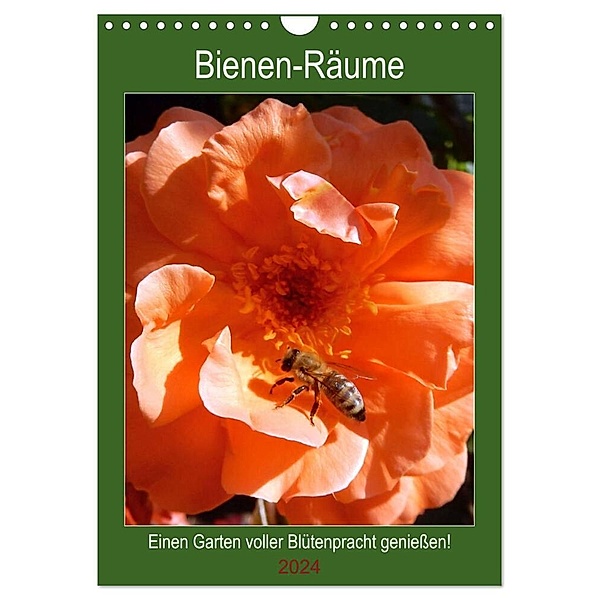 Bienen-Räume (Wandkalender 2024 DIN A4 hoch), CALVENDO Monatskalender, Ellen Westphal