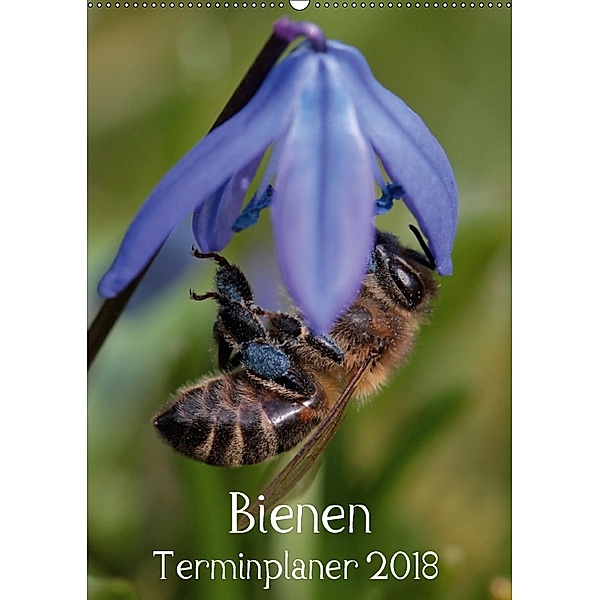 Bienen-Terminplaner 2018 (Wandkalender 2018 DIN A2 hoch), Silvia Hahnefeld