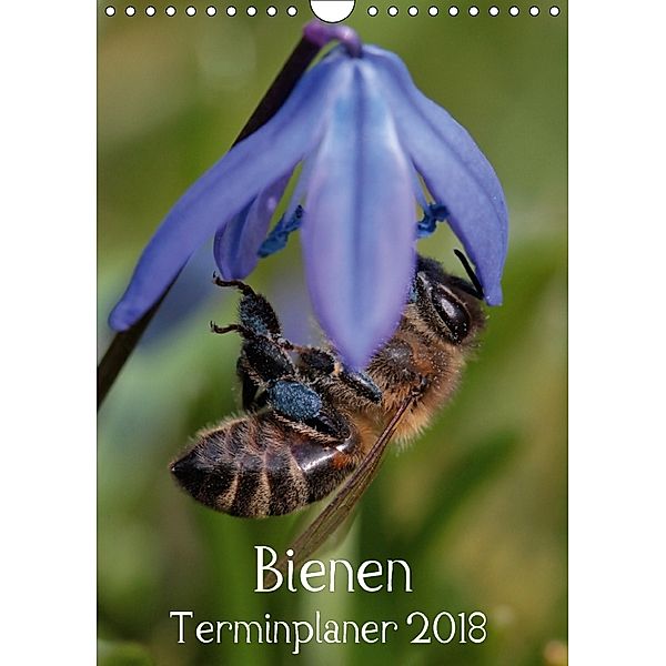 Bienen-Terminplaner 2018 (Wandkalender 2018 DIN A4 hoch) Dieser erfolgreiche Kalender wurde dieses Jahr mit gleichen Bil, Silvia Hahnefeld