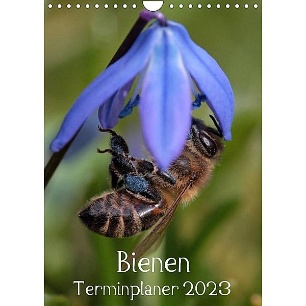 Bienen-Terminplaner 2023 (Wandkalender 2023 DIN A4 hoch), Silvia Hahnefeld