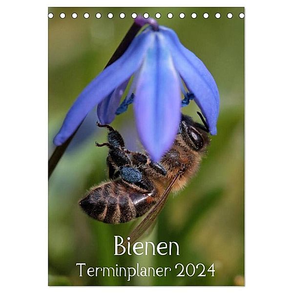 Bienen-Terminplaner 2024 (Tischkalender 2024 DIN A5 hoch), CALVENDO Monatskalender, Silvia Hahnefeld