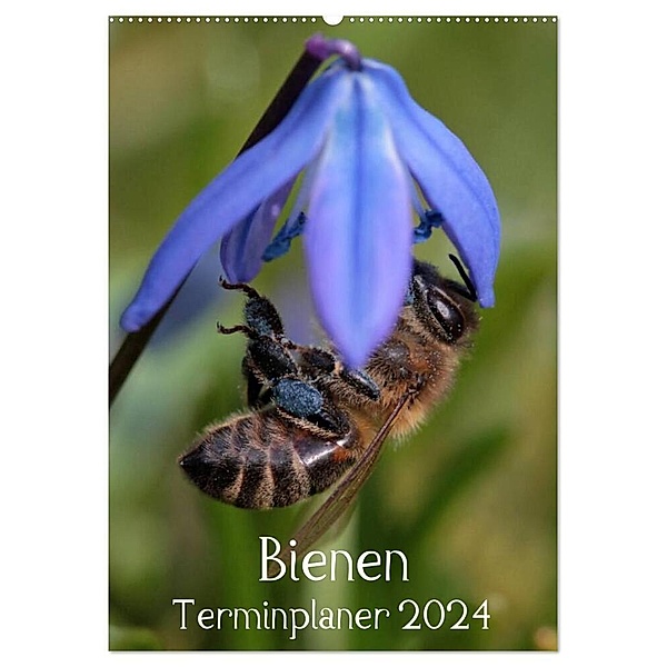 Bienen-Terminplaner 2024 (Wandkalender 2024 DIN A2 hoch), CALVENDO Monatskalender, Silvia Hahnefeld