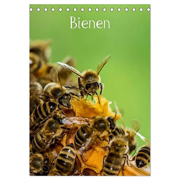 Bienen (Tischkalender 2024 DIN A5 hoch), CALVENDO Monatskalender, Mark Bangert