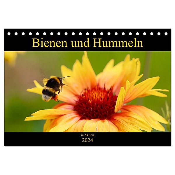 Bienen und Hummeln in Aktion (Tischkalender 2024 DIN A5 quer), CALVENDO Monatskalender, Krisma