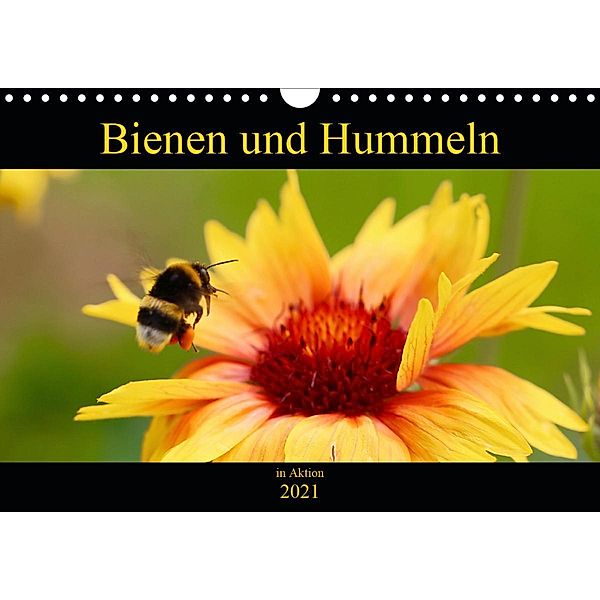 Bienen und Hummeln in Aktion (Wandkalender 2021 DIN A4 quer), Krisma