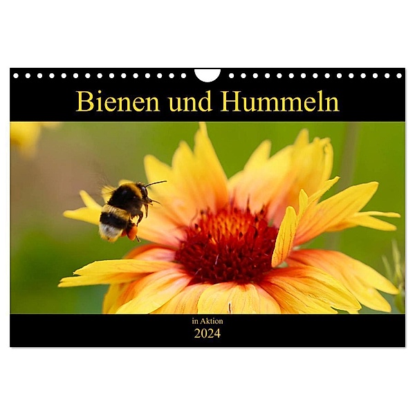 Bienen und Hummeln in Aktion (Wandkalender 2024 DIN A4 quer), CALVENDO Monatskalender, Krisma