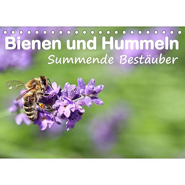 Bienen und Hummeln Summende Bestäuber (Tischkalender 2022 DIN A5 quer), Marina Härle