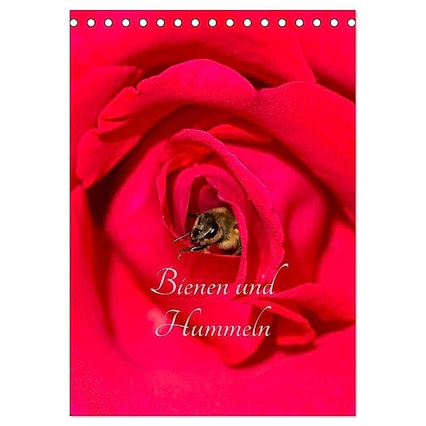 Bienen und Hummeln (Tischkalender 2024 DIN A5 hoch), CALVENDO Monatskalender, Mark Bangert