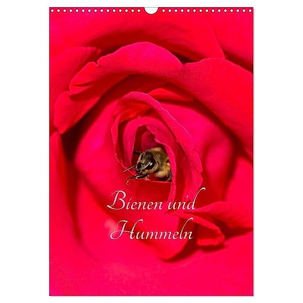 Bienen und Hummeln (Wandkalender 2024 DIN A3 hoch), CALVENDO Monatskalender, Mark Bangert
