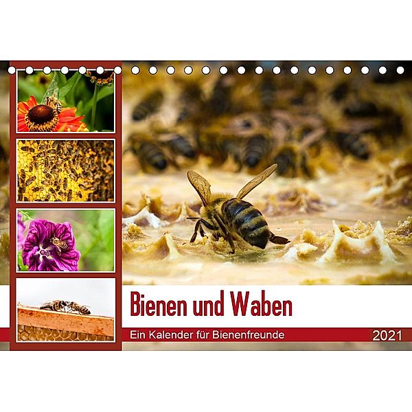 Bienen und Waben (Tischkalender 2021 DIN A5 quer), Barbara Wilms