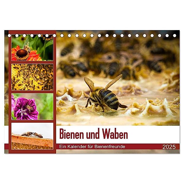 Bienen und Waben (Tischkalender 2025 DIN A5 quer), CALVENDO Monatskalender, Calvendo, Barbara Wilms
