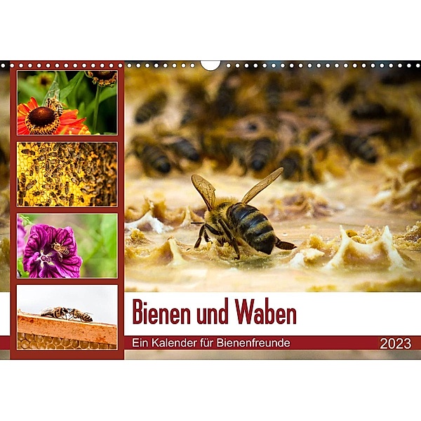 Bienen und Waben (Wandkalender 2023 DIN A3 quer), Barbara Wilms