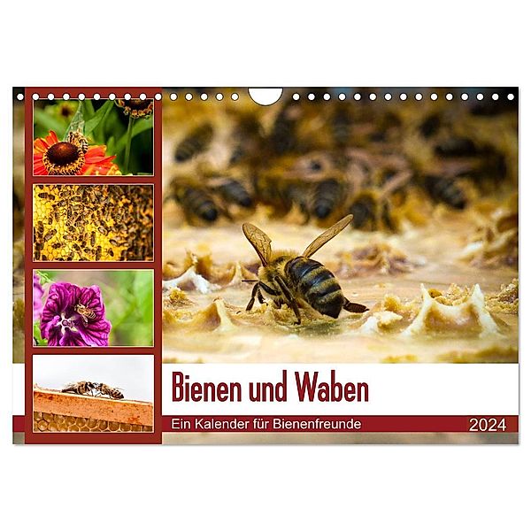 Bienen und Waben (Wandkalender 2024 DIN A4 quer), CALVENDO Monatskalender, Barbara Wilms
