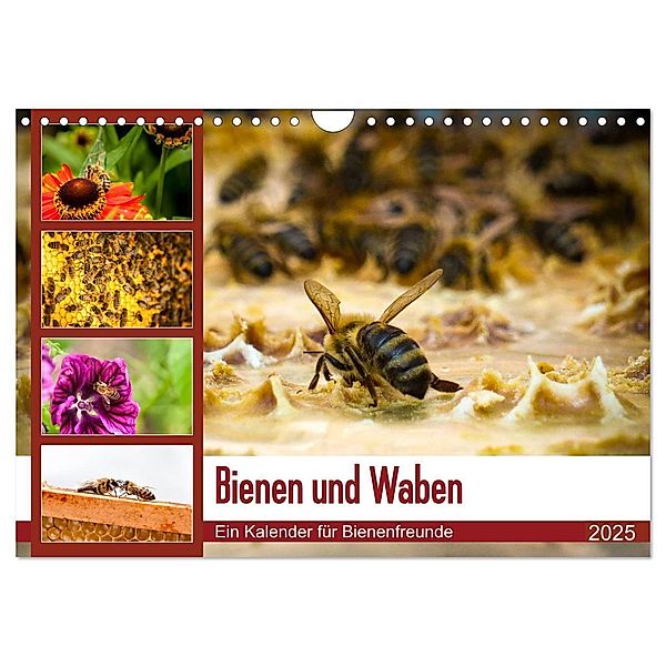 Bienen und Waben (Wandkalender 2025 DIN A4 quer), CALVENDO Monatskalender, Calvendo, Barbara Wilms